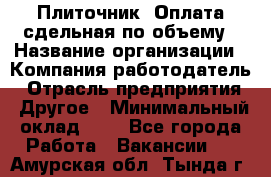 Плиточник. Оплата сдельная по объему › Название организации ­ Компания-работодатель › Отрасль предприятия ­ Другое › Минимальный оклад ­ 1 - Все города Работа » Вакансии   . Амурская обл.,Тында г.